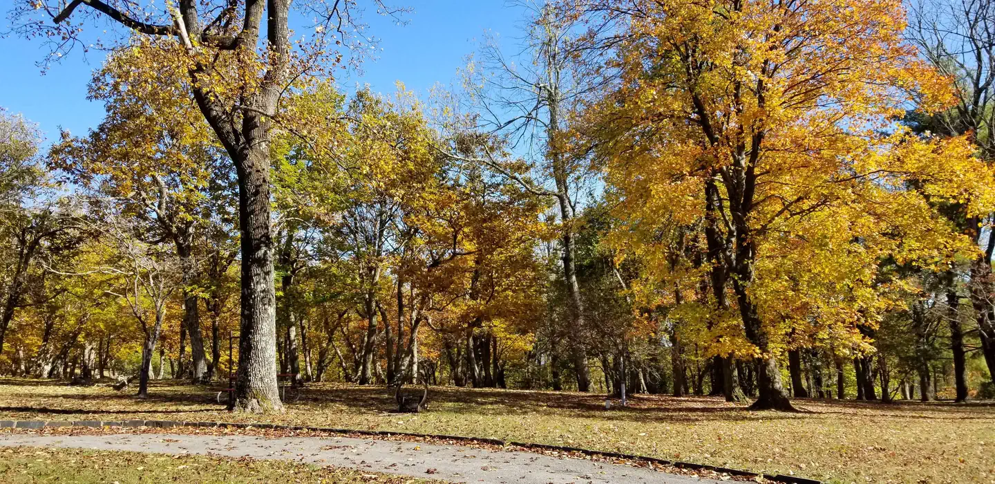 Rocky Knob Campground photo 4