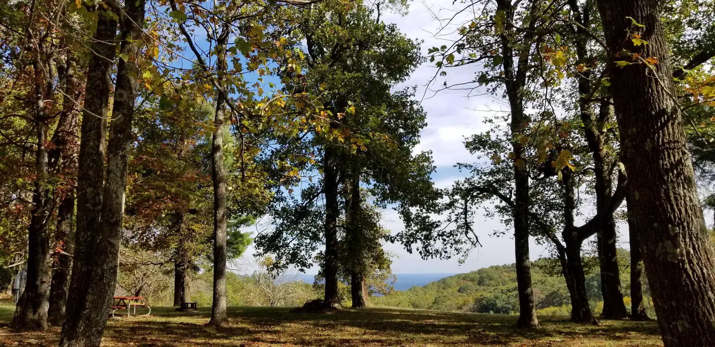 Rocky Knob Campground photo 5