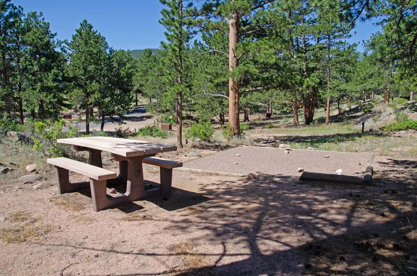 Rocky Mountain National Park Moraine Park Campground photo 3