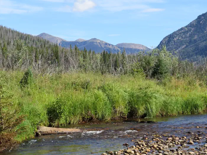 Rocky Mountain National Park Timber Creek Campground photo 5