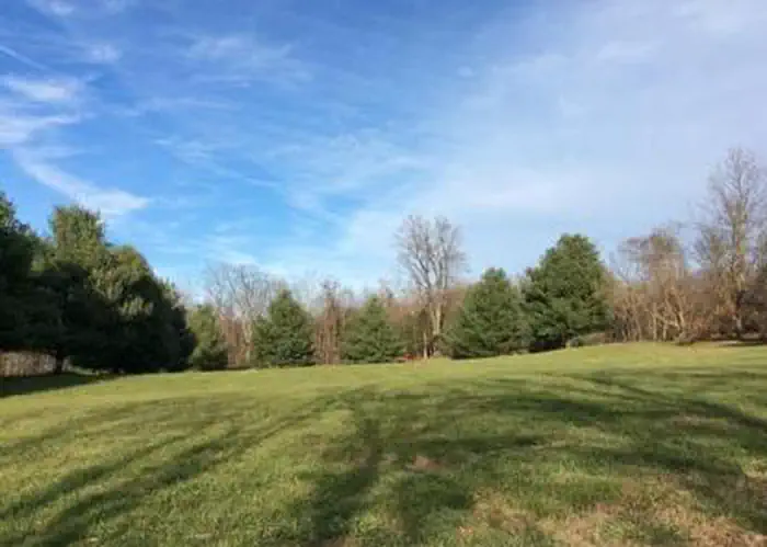 Rohrbach Group Campground photo 5