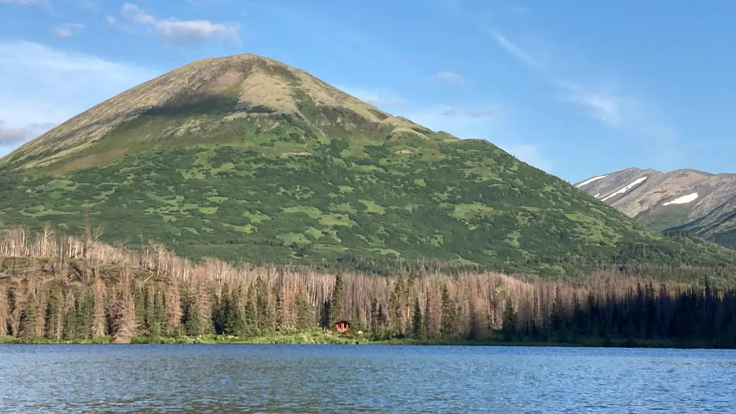 ROMIG CABIN photo