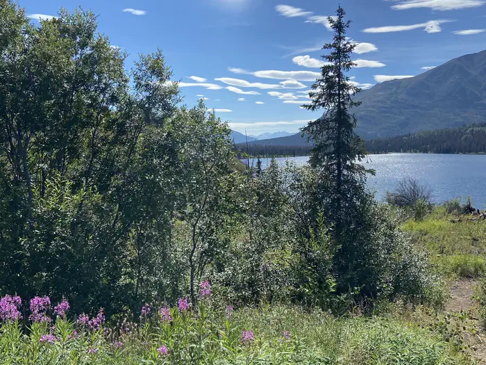 ROMIG CABIN photo 4