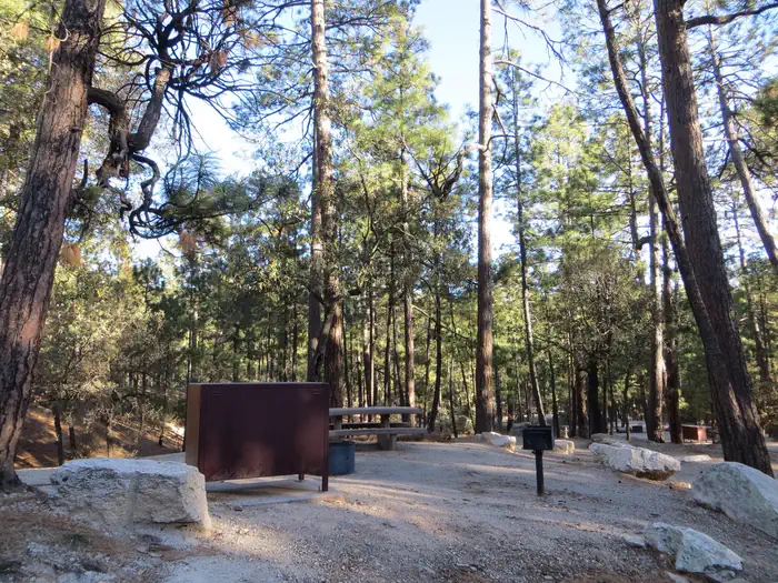 ROSE CANYON photo 2