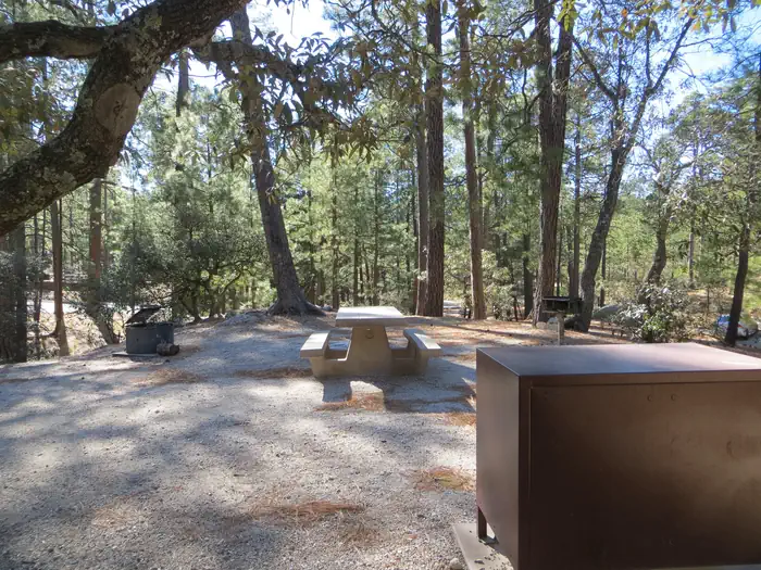 ROSE CANYON photo 5