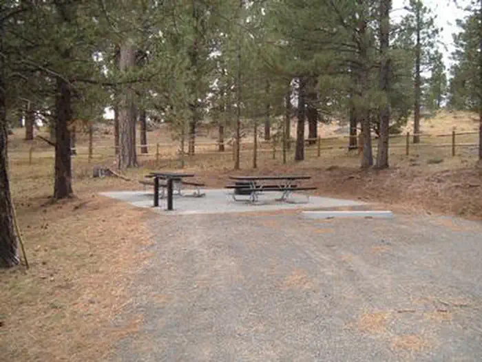 ROSEBUD ATV photo 5