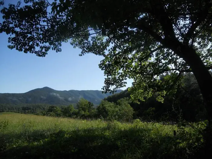 ROUND BOTTOM HORSE CAMP photo 2