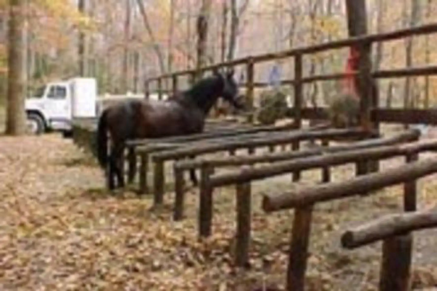 ROUND BOTTOM HORSE CAMP photo 4