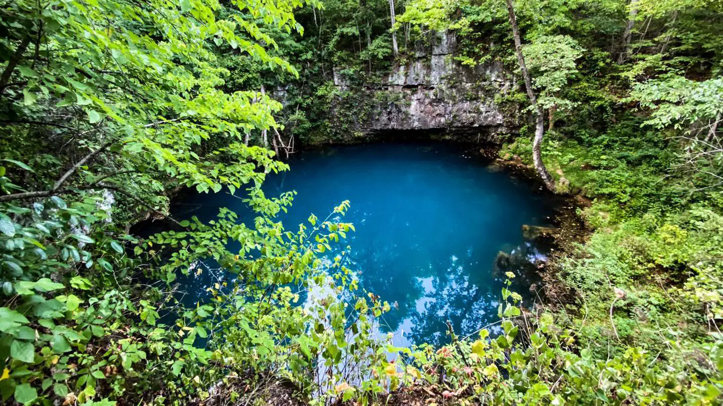 ROUND SPRING photo
