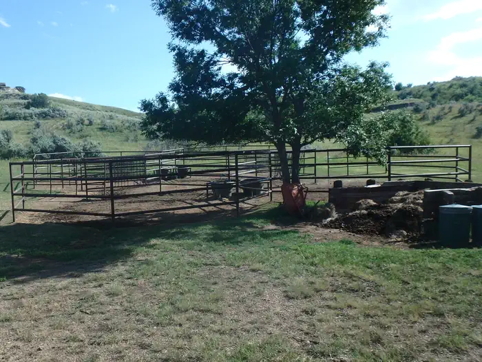 Roundup Group Horse Camp photo 4