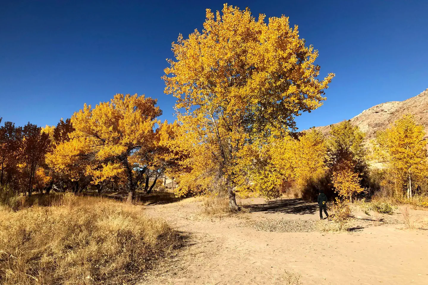 Ruby Horsethief Canyon Permits photo 2