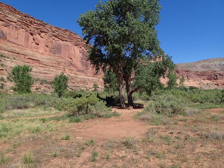 Ruby Horsethief Canyon Permits photo 5