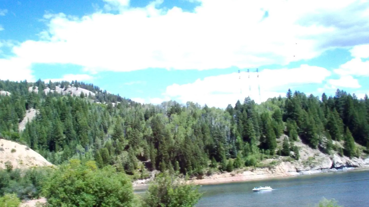 RUEDI MARINA CAMPGROUND photo