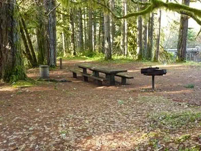 RUJADA DAY USE PICNIC AREA photo 2