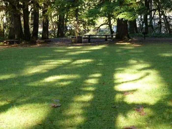 RUJADA DAY USE PICNIC AREA photo 4