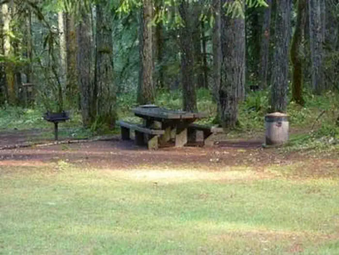 RUJADA DAY USE PICNIC AREA photo 5