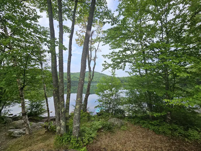 RUSSELL POND CAMPGROUND photo 2