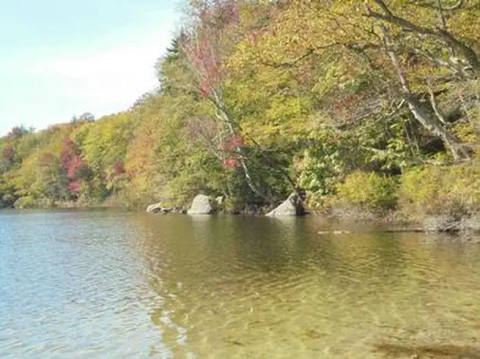 RUSSELL POND CAMPGROUND photo 3
