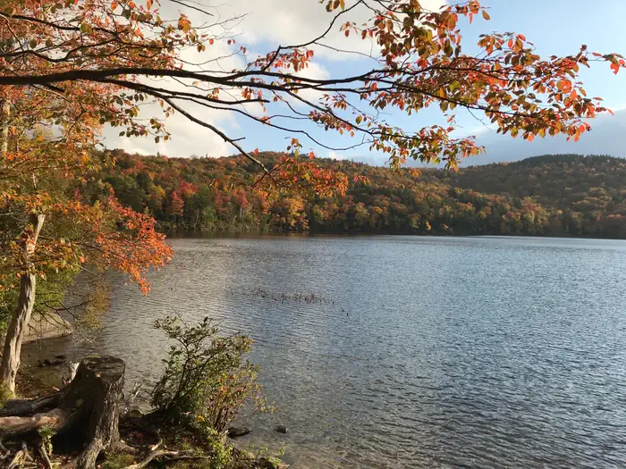 RUSSELL POND CAMPGROUND photo 4