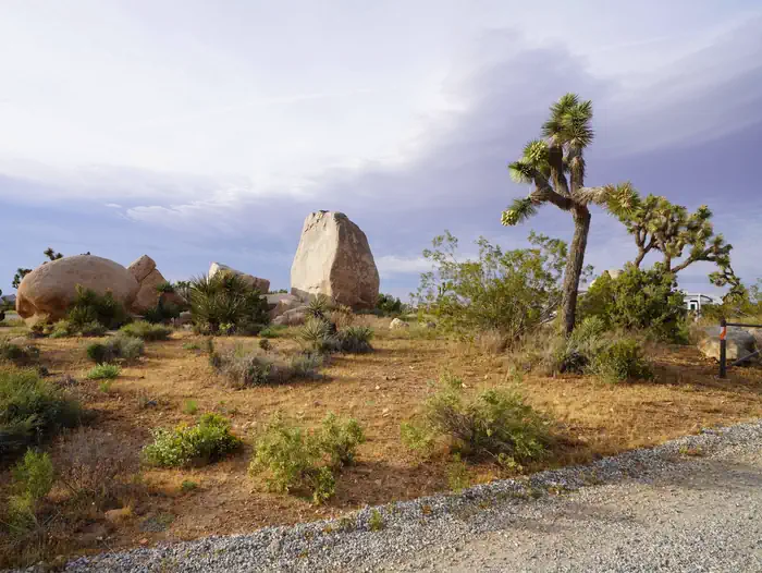 Ryan Campground photo 2