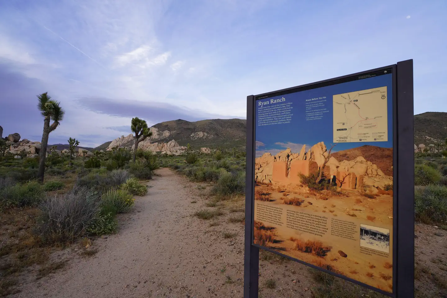 Ryan Campground photo 3