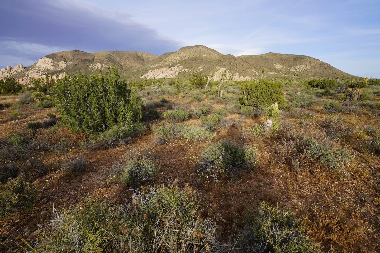 Ryan Campground photo 5