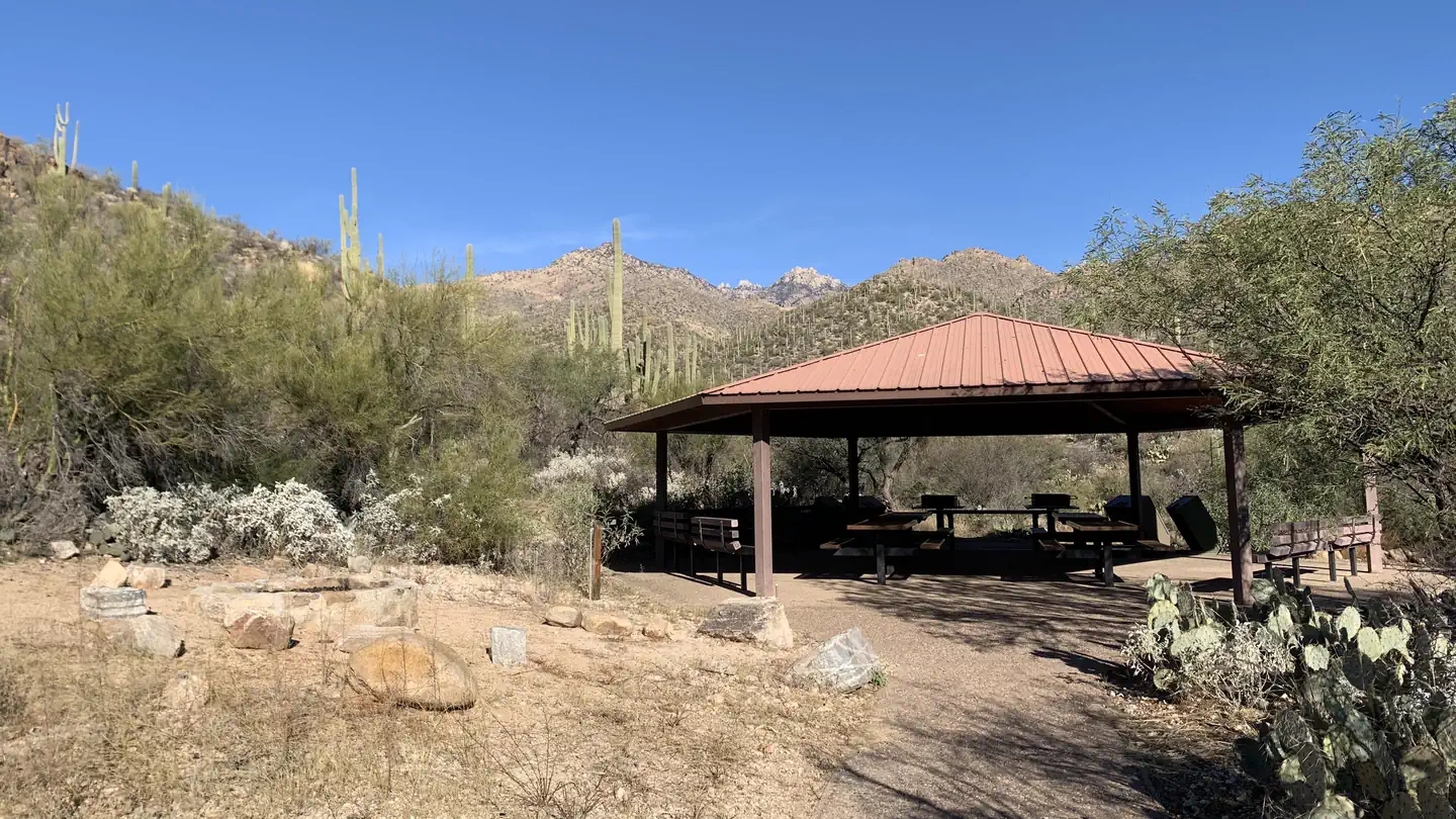 SABINO CANYON RECREATION AREA CACTUS RAMADA 1 photo