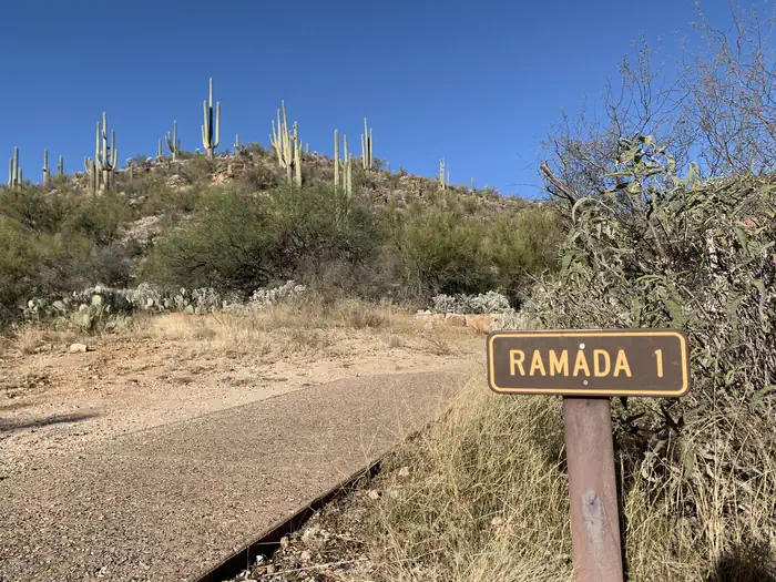 SABINO CANYON RECREATION AREA CACTUS RAMADA 1 photo 2