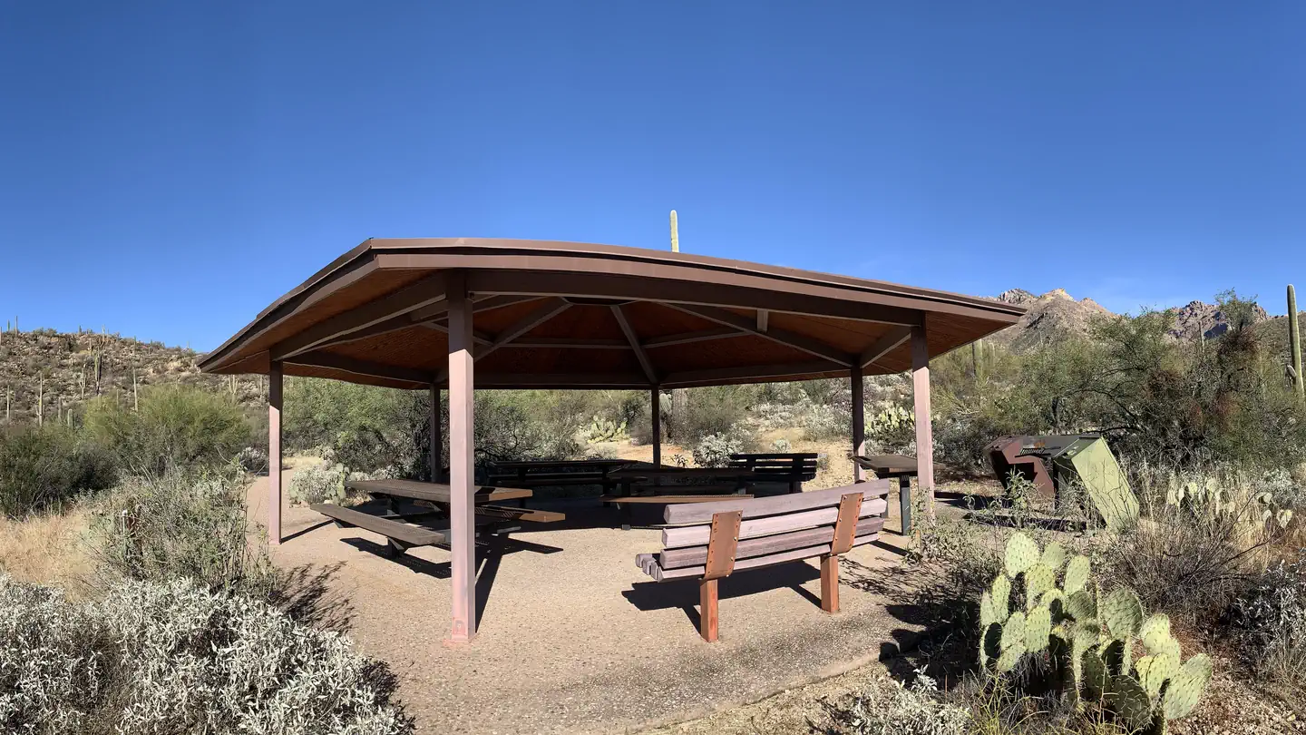 SABINO CANYON RECREATION AREA CACTUS RAMADA 2 photo