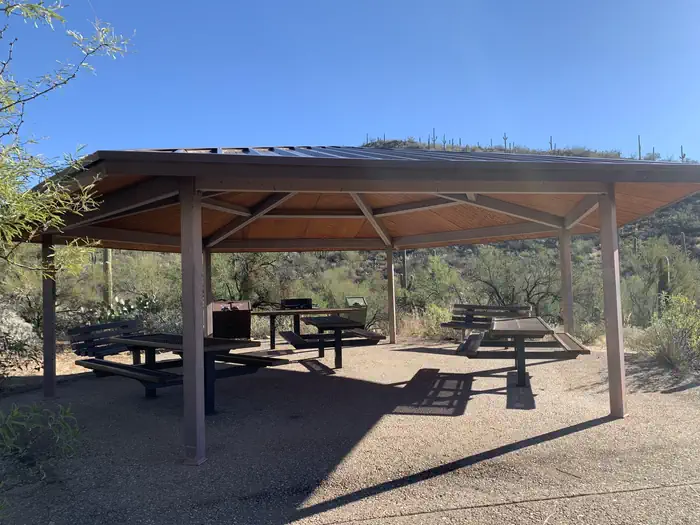 SABINO CANYON RECREATION AREA CACTUS RAMADA 2 photo 3