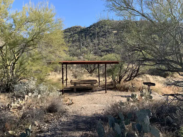 SABINO CANYON RECREATION AREA CACTUS RAMADA 2 photo 4