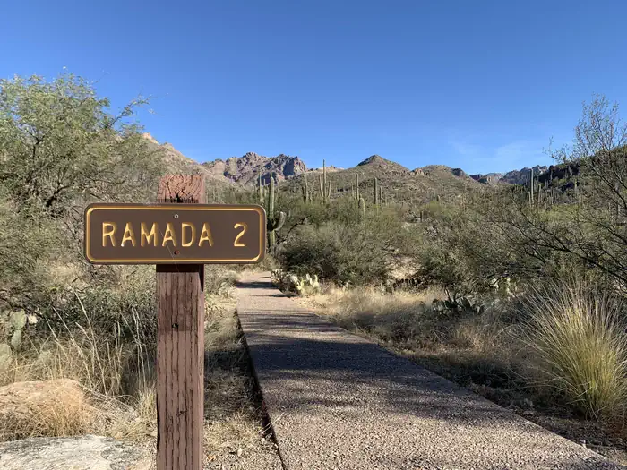 SABINO CANYON RECREATION AREA CACTUS RAMADA 2 photo 5