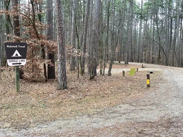 Saddle Lake Campground photo