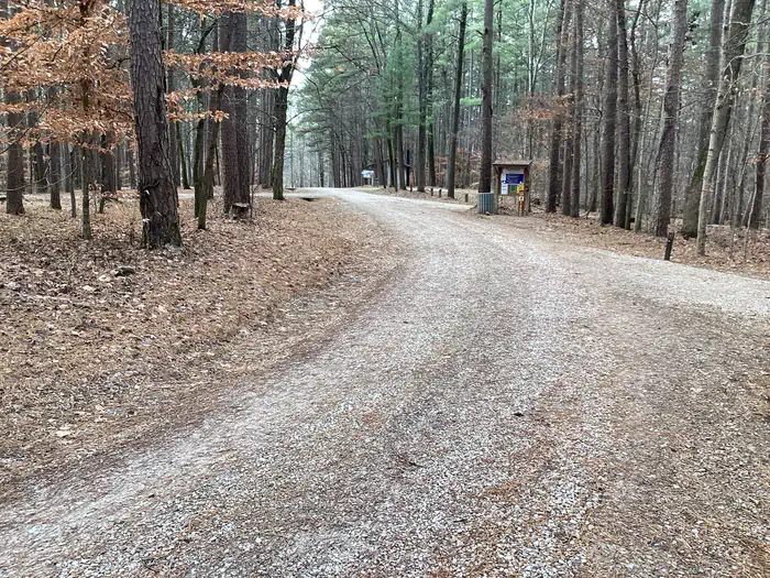 Saddle Lake Campground photo 3