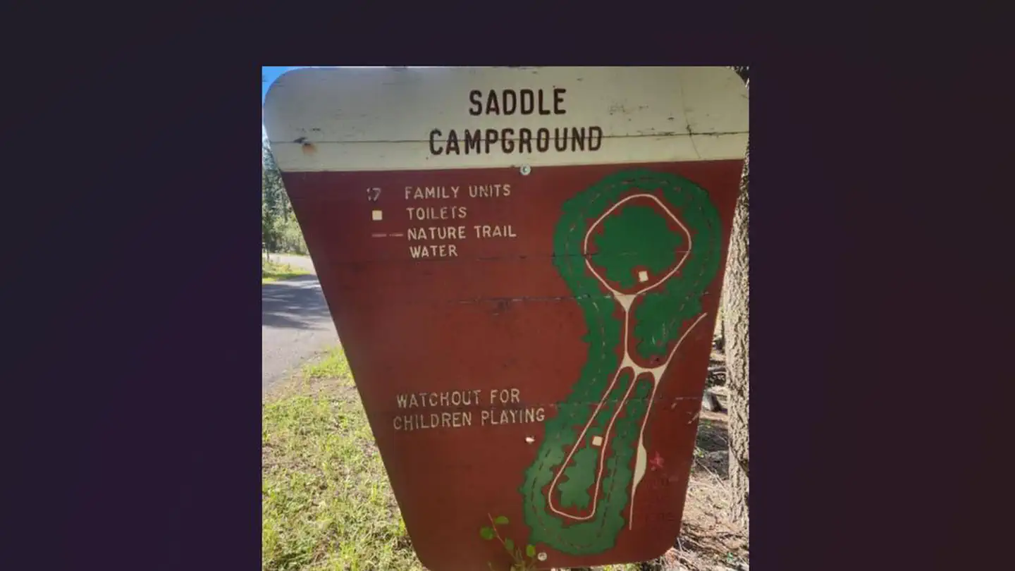 Saddle (NM) photo
