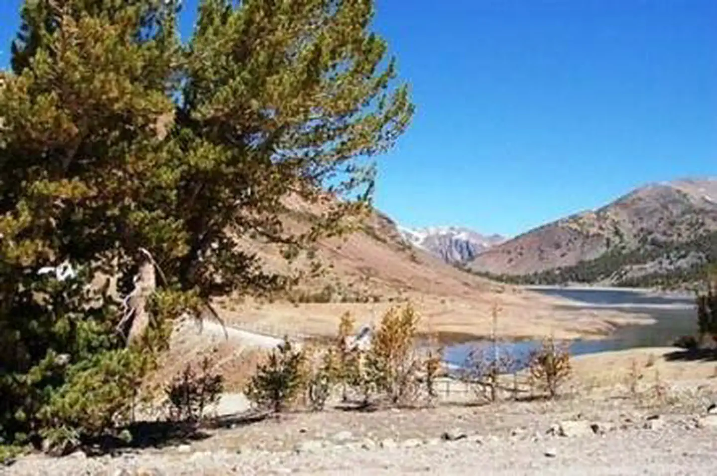 Saddlebag Lake Trailhead Group Camp photo 3