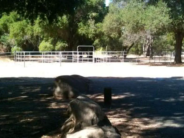 SAGE HILL photo 2
