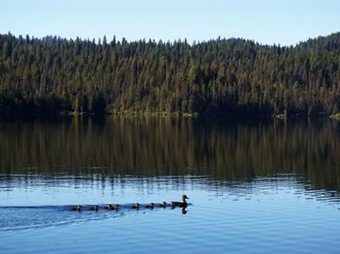 SAGEHEN CREEK photo