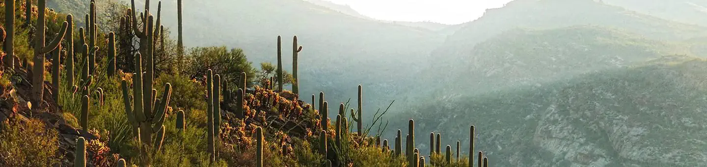 Saguaro National Park Wilderness Permits photo