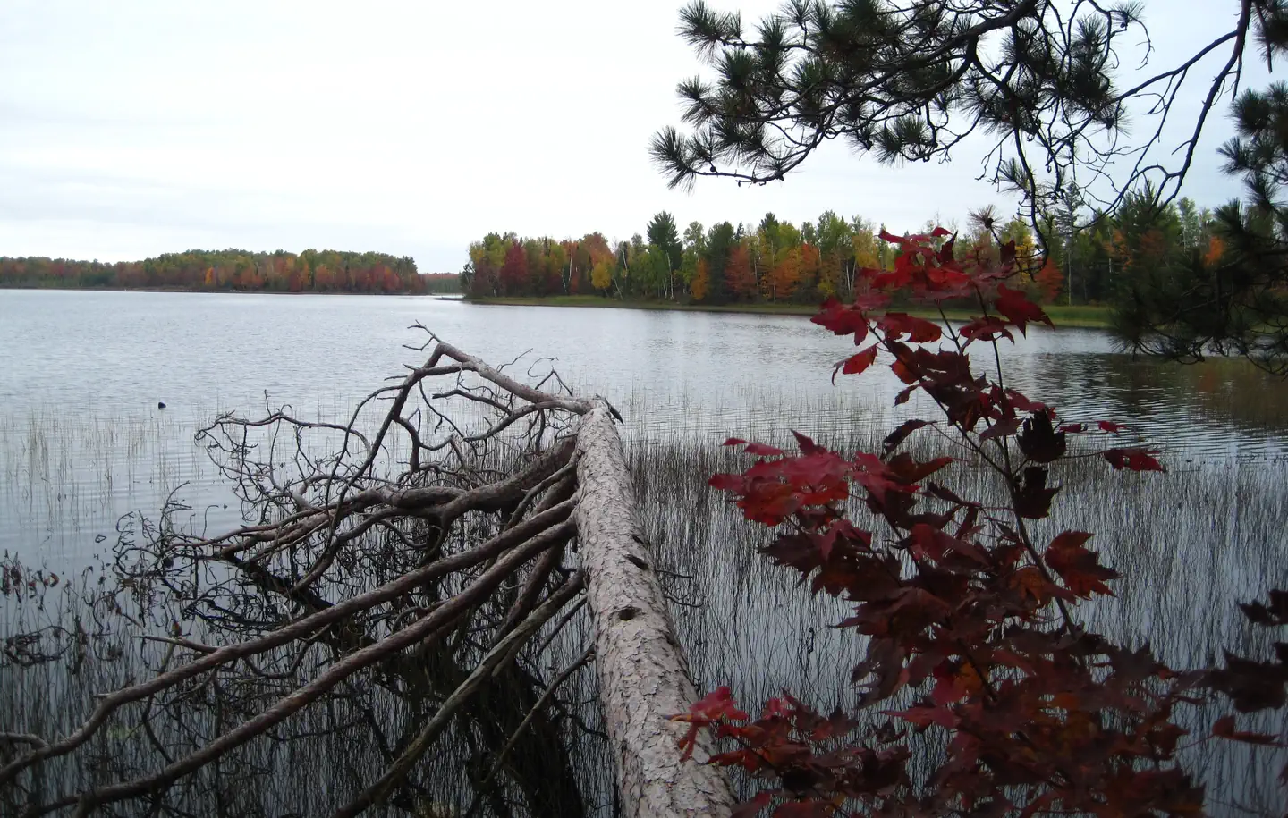 SAILOR LAKE PAVILION photo 2