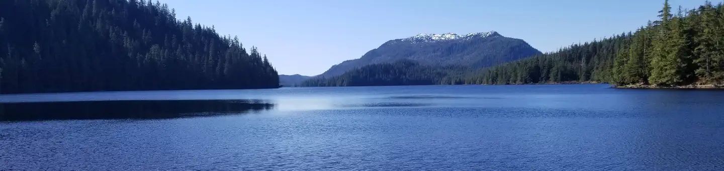 SALMON BAY LAKE CABIN photo
