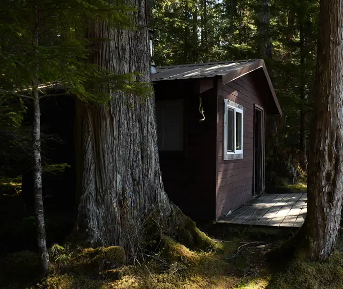 SALMON BAY LAKE CABIN photo 4