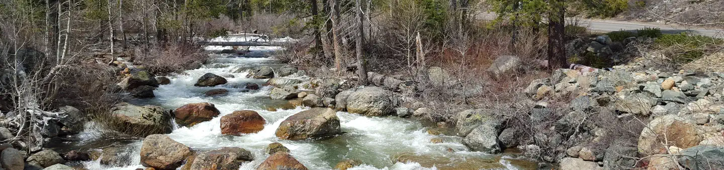 SALMON CREEK photo