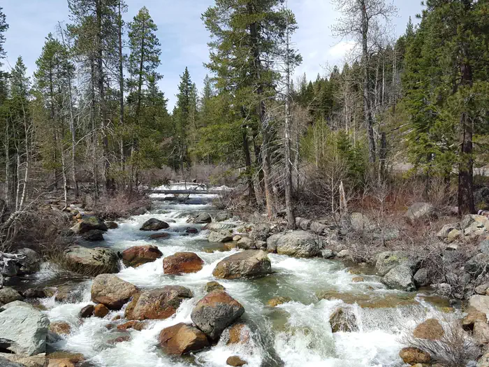 SALMON CREEK photo 3