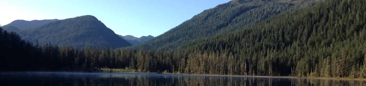 SALMON LAKE CABIN SITKA photo
