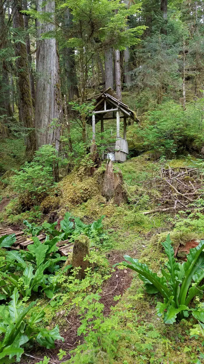 SALMON LAKE CABIN THORNE BAY photo 5