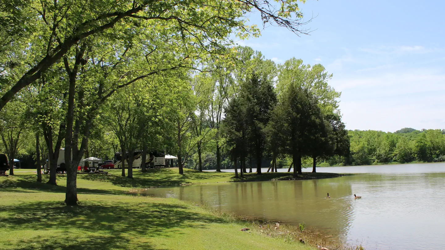 SALT LICK CREEK photo
