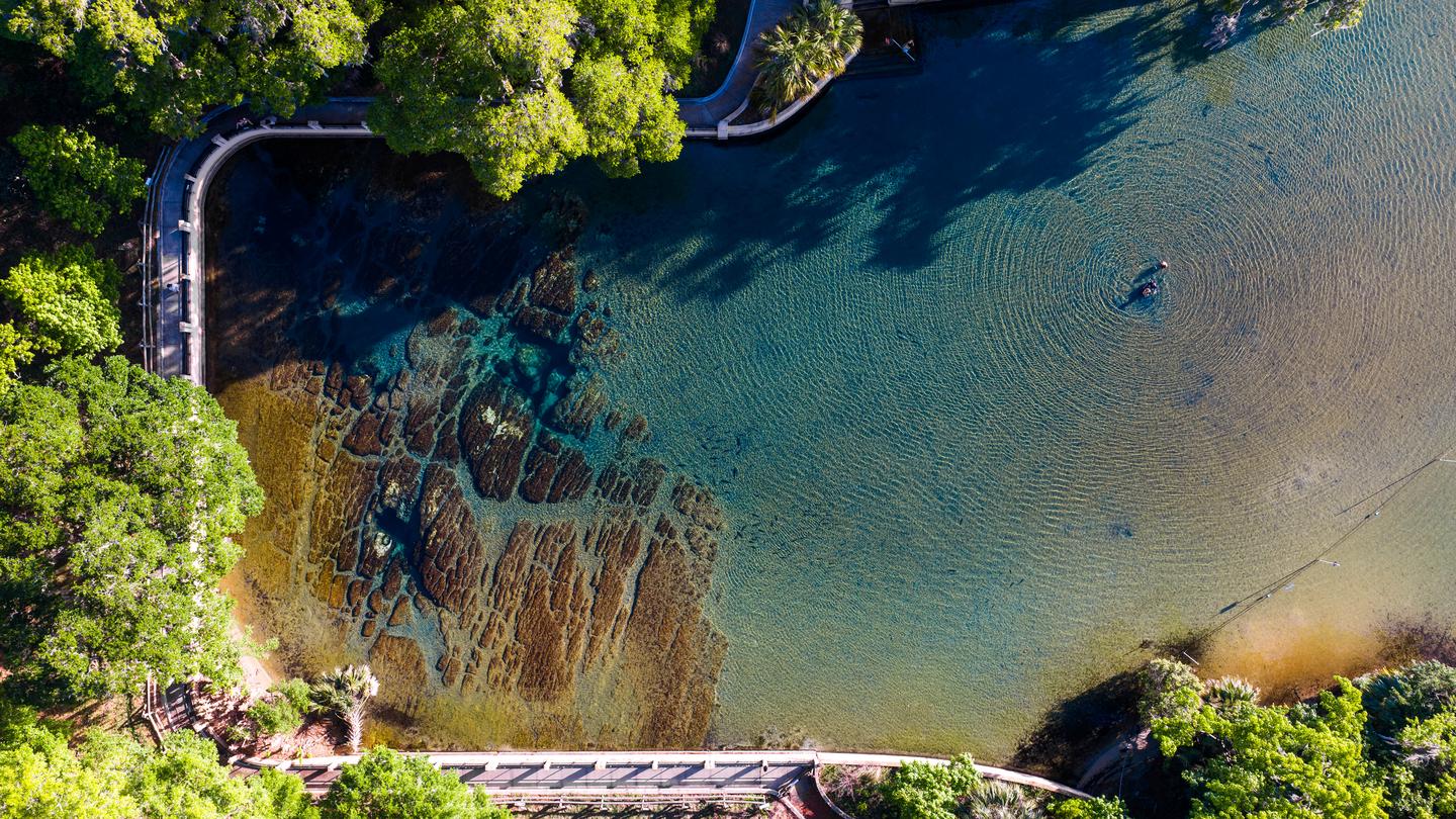 SALT SPRINGS RECREATION AREA photo