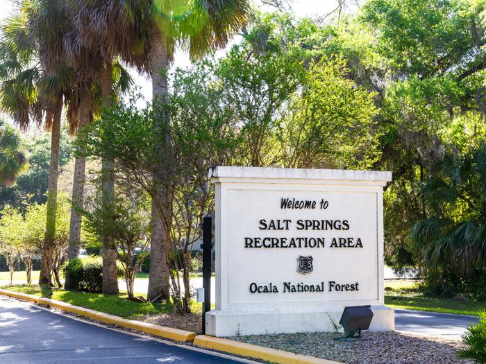 SALT SPRINGS RECREATION AREA photo 2