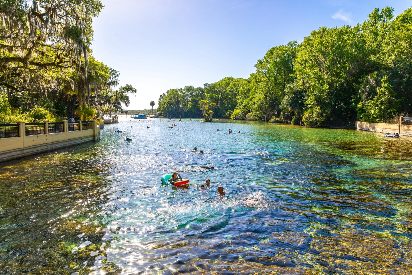 SALT SPRINGS RECREATION AREA photo 3